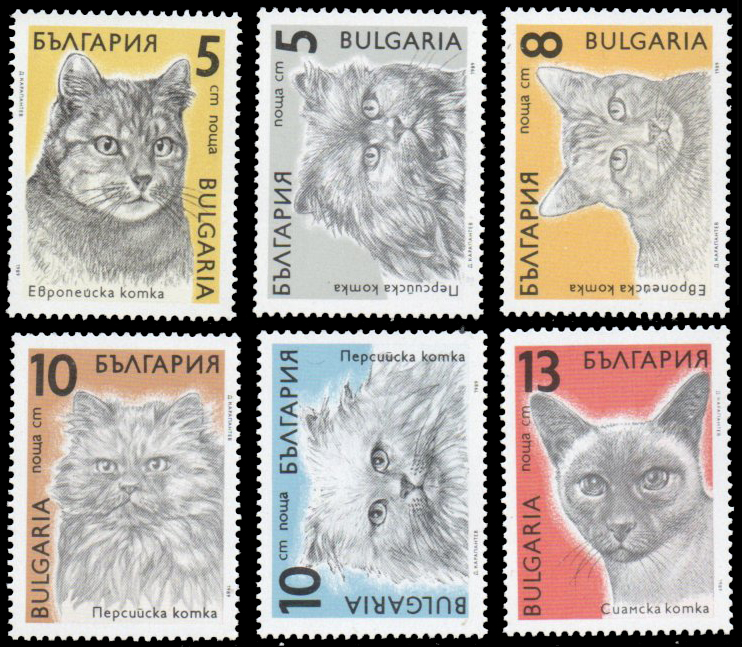 1989 Cats