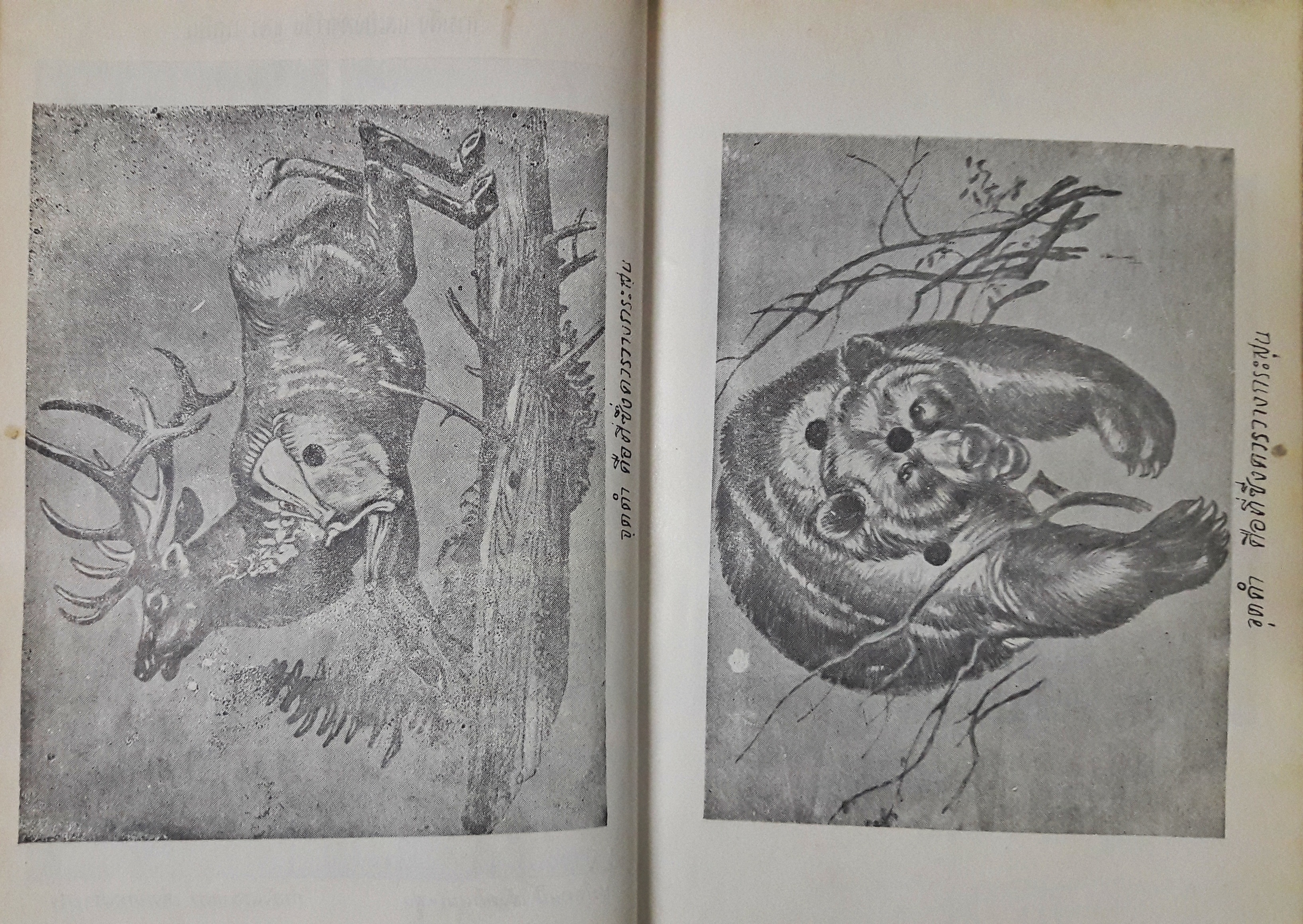 คู่มืออาวุธศึกษาสำหรับประชาชน ว่าด้วยปืนทุกชนิดและศิลปการล่าสัตว์