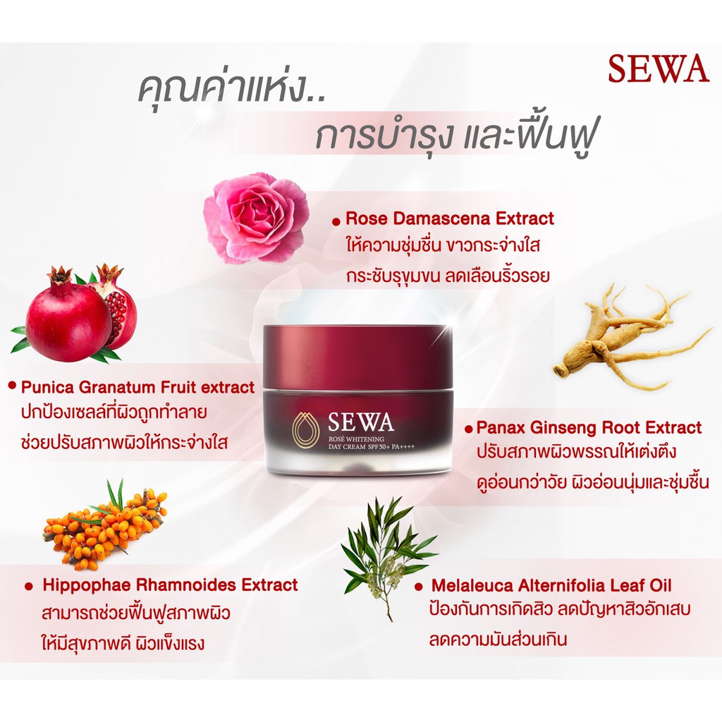 Sewa 4 สูตร Sewa Insam Essence เซวาน้ำโสม / Sewa Age-White Serum เซวาเซรั่ม / Sewa Rose Whitening เซวาเดย์ครีม