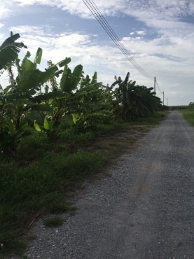 ขายที่ดินจัดสรรค์สวยราคาถูกติดถนน 3 ด้านห่างทุ่งดินดำรีสอร์ท 548 เมตร ใกล้อบต. เลาขวัญ 2.8 กม. รพ.เลาขวัญ4.8กม.อ.อู่ทอง จ.สุพรรณบุรี