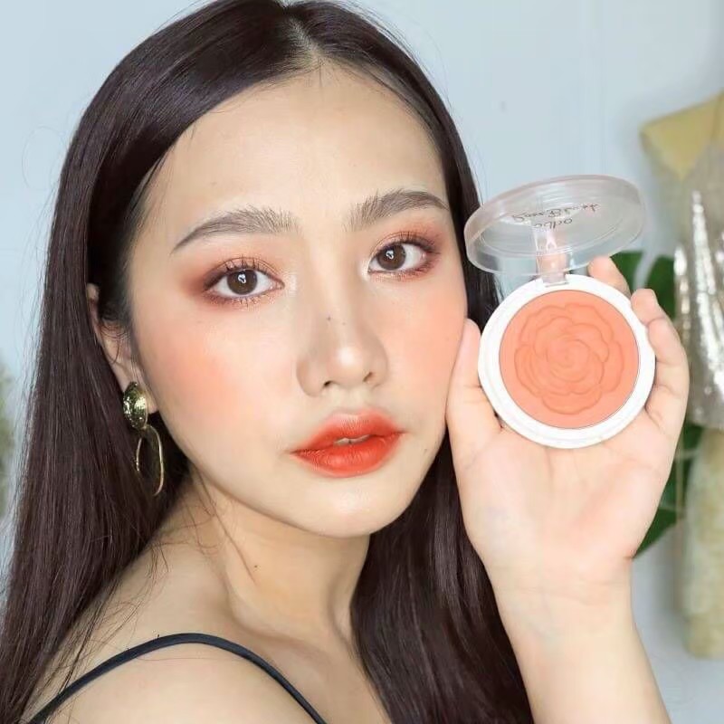 odbo ราคา