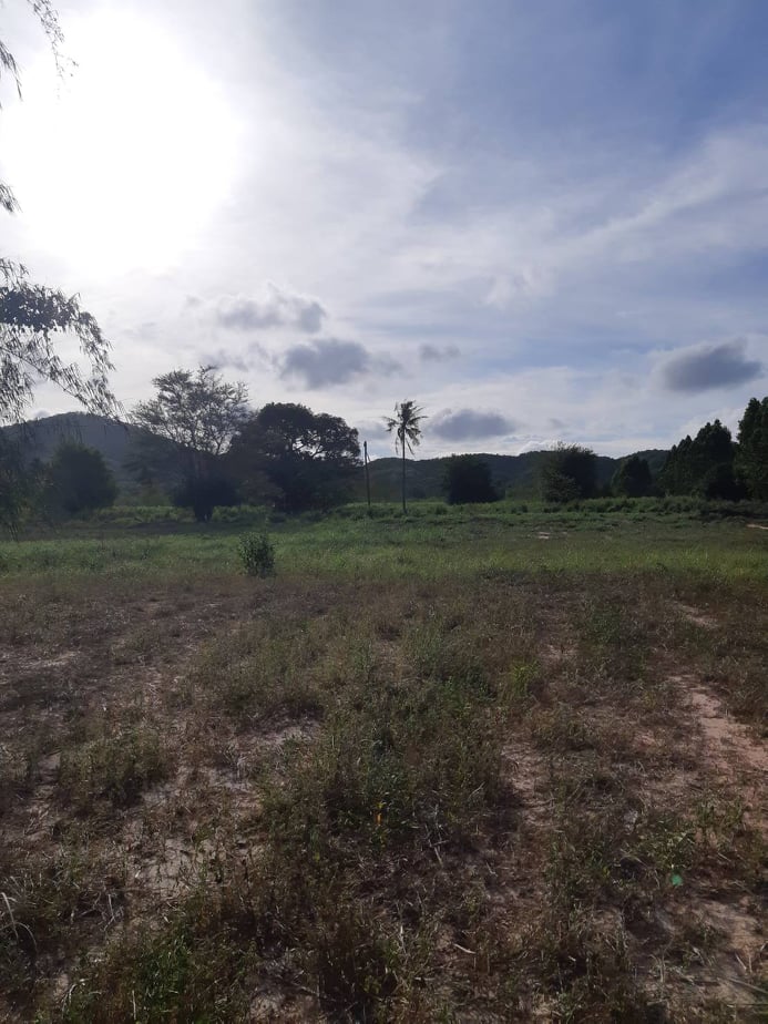 ขายที่ดินสวยราคาถูกที่สุด อ.สัตหีบ จ.ชลบุรี ใกล้สถานีตำรวจ+โรงพยาบาล+สนามบิน เหมาะแก่การทำธุรกิจบ้านจัดสรรหรืออื่นๆ