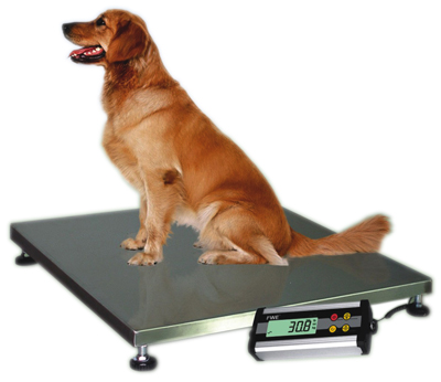 เครื่องชั่งน้ำหนักสัตว์เลี้ยง CST Pet Scale TCS-D-300 พิกัดกำลัง 300kg ละเอียด 0.05 kg