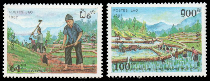 1987 Rice Culture in Mountain Regions