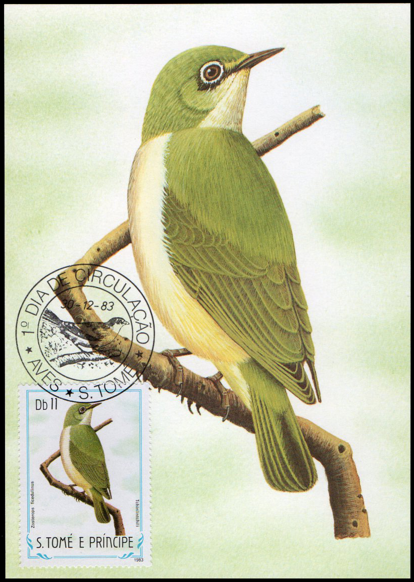 Post Cards S.Tome E Principe Bird 1983