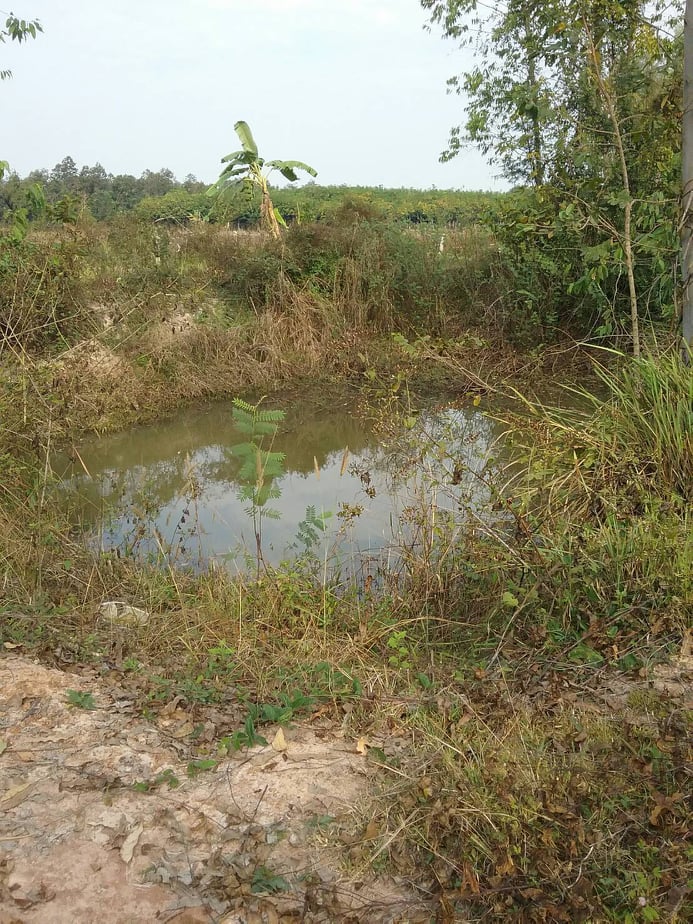 ขายที่ดินสวยราคาถูกที่สุดอ.เกาะคา จ.ลำปางห่างจากปั้มพีทีสาขาเกาะคา 2.94 กม.11 ไร่ 1งาน14ตรว.