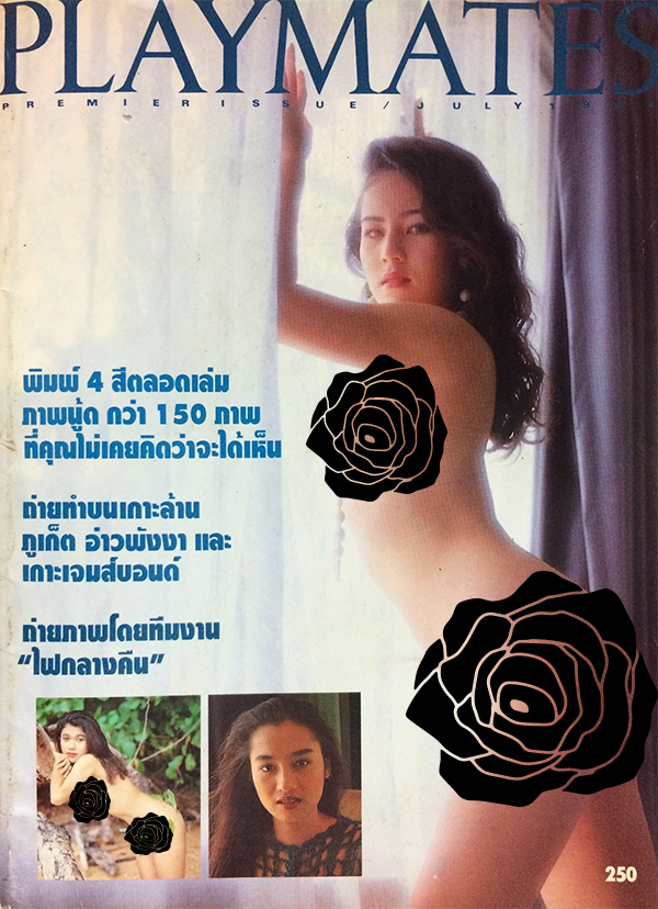 ไฟกลางคืน Playmates