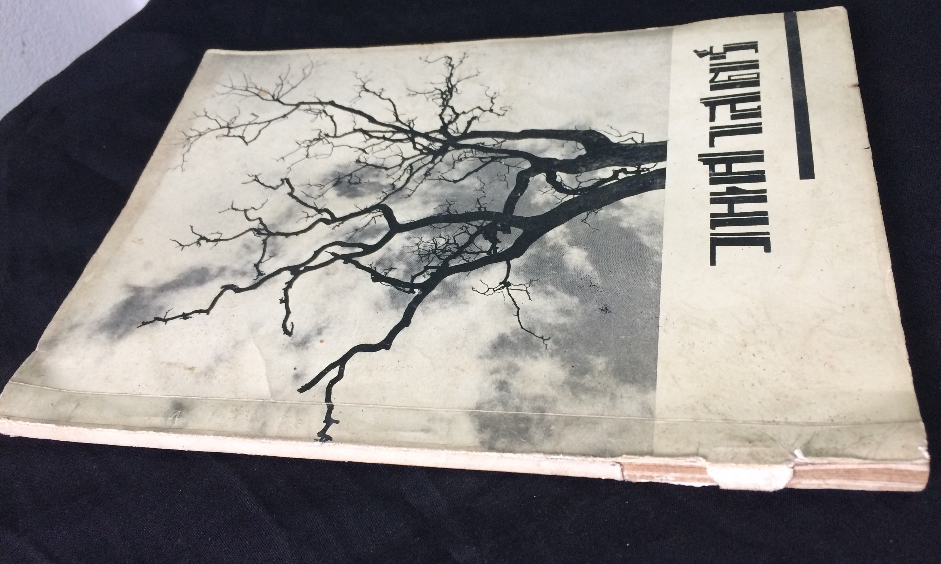 วนศาสตร์