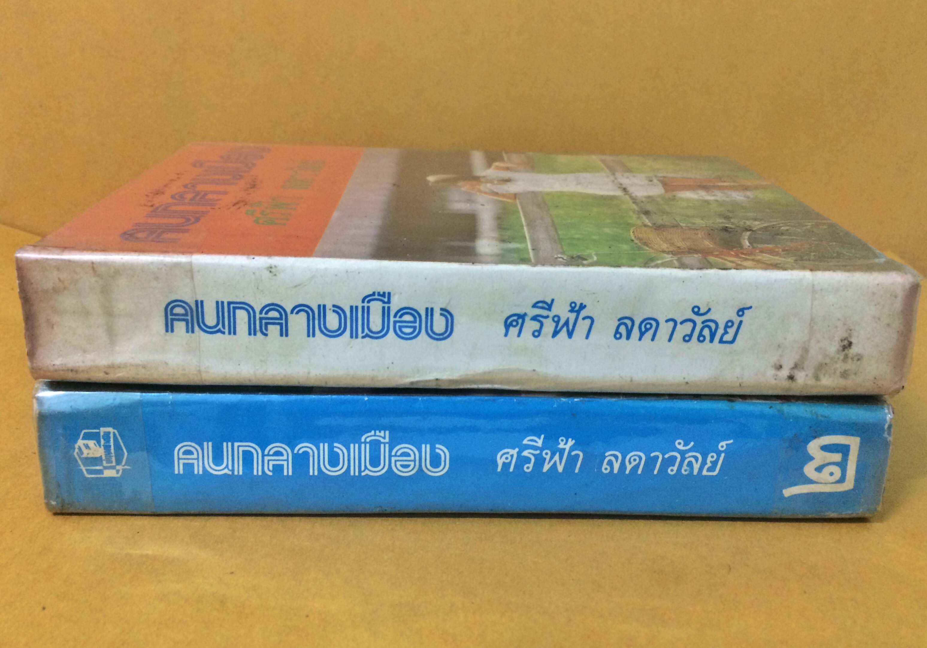 คนกลางเมือง (1-2เล่มจบ)