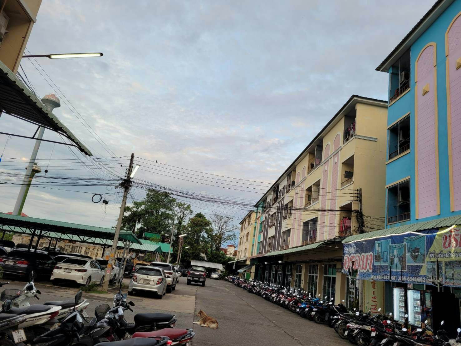 ขายหอพักใกล้มหาวิทยาลัยนเรศวร 300 เมตร อำเภอเมืองพิษณุโลก 4 คูหา 4 ชั้น 28 ห้อง บริการห้องพักรายเดือนเหมาะสำหรับผู้กำลังมองหาธุรกิจด้านอสังหาริมทรัพย์