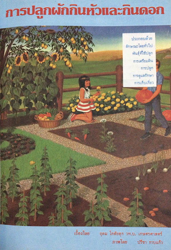 การปลูกผักกินใบ