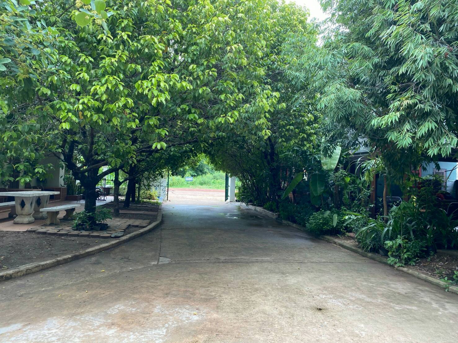 ขายบ้านพร้อมที่ดินและกิจการบ้านอุ่นรักร้านอาหาร+ร้านกาแฟ+ห้องพักรายวันใจกลางอ.เมืองหนองคายพร้อมอุปกรณ์เครื่องใช้ เฟอร์นิเจอร์ครบครันเหมาะสำหรับผู้รักในการทำธุรกิจ