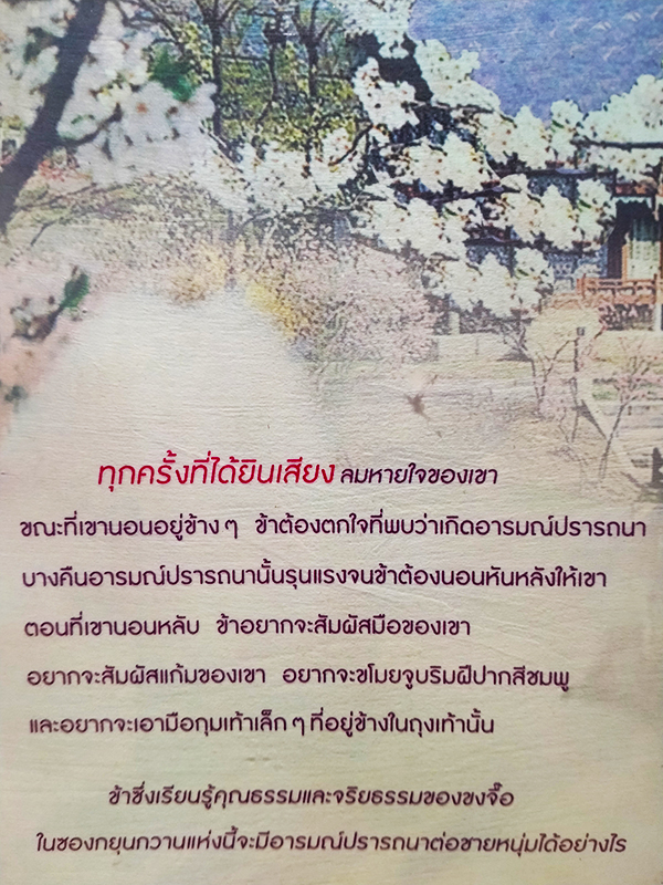 วุ่นนักรักของบัณฑิต เล่ม 1-2 (จบ) The Days of Sungkyunkwan Confucian Students