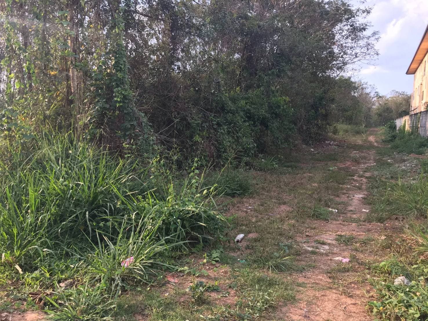 ขายที่ดินราคาถูกใกล้มหาวิทยาลัยราชภัฏเลย เหมาะแก่การสร้างบ้านอยู่อาศัยหรือหอพักบรรยากาศดีเดินทางสะดวก