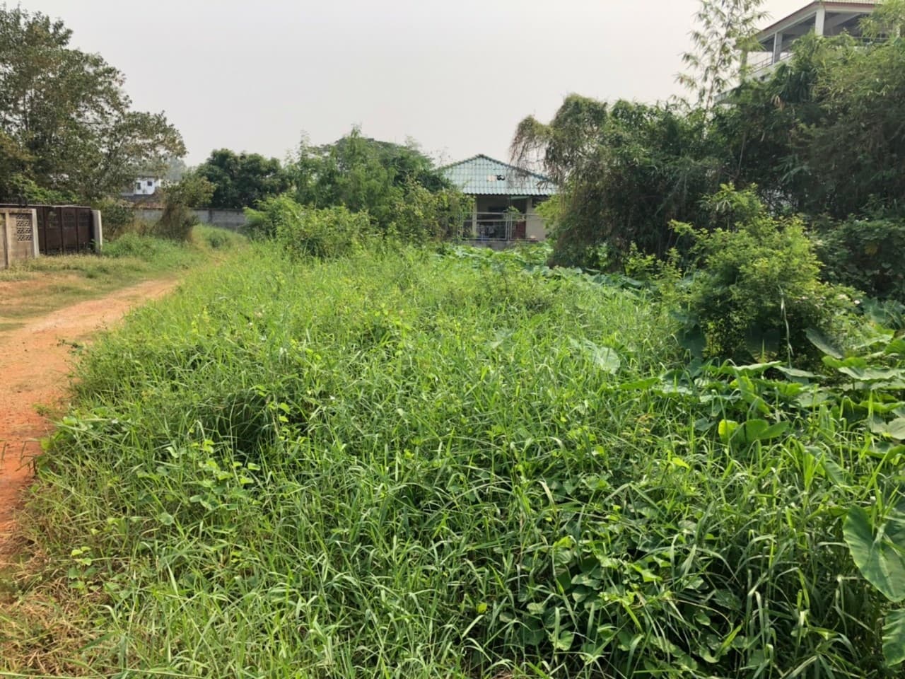 ขายที่ดินราคาถูกกลางเมืองอุทัยธานีห่างจากสถานีขนส่งผู้โดยสารอุทัยธานี 285 เมตร