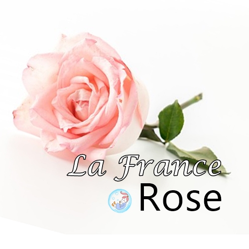 ROSE : La France Rose น้ำมันหอมระเหยผสม กุหลาบฝรั่งเศส / กลิ่นหอมหวาน ละมุ่น น่ารัก / Sweet Fruity Floral Aromatic หัวน้ำหอมละลายในแอกอฮอล์ - ไม่เร่งเทรซ