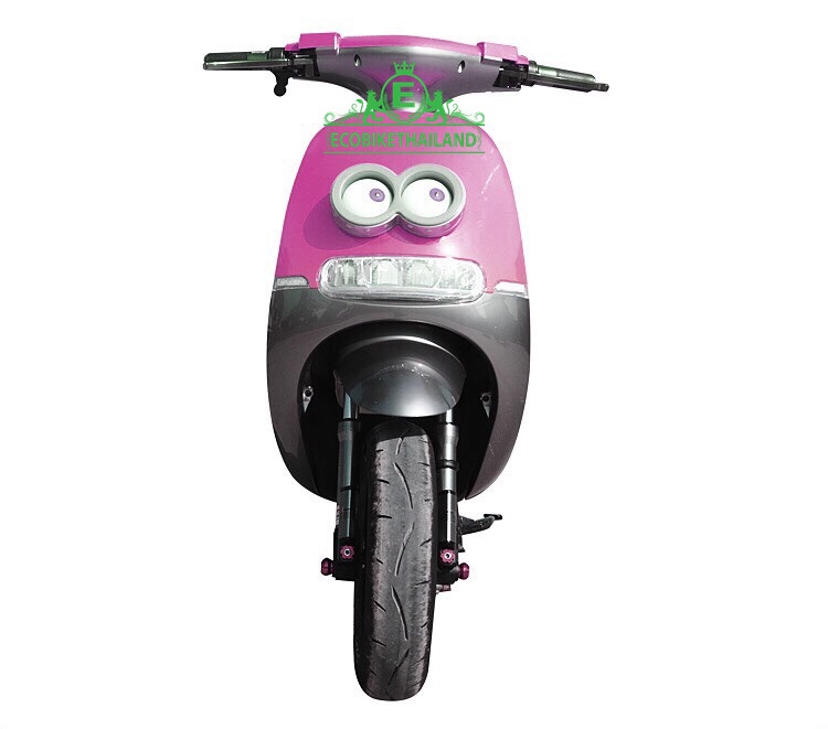 รถมอเตอร์ไซค์ 1000 วัตต์