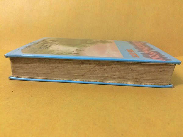 รุ้งแสนสวย (เล่มเดียวจบ)