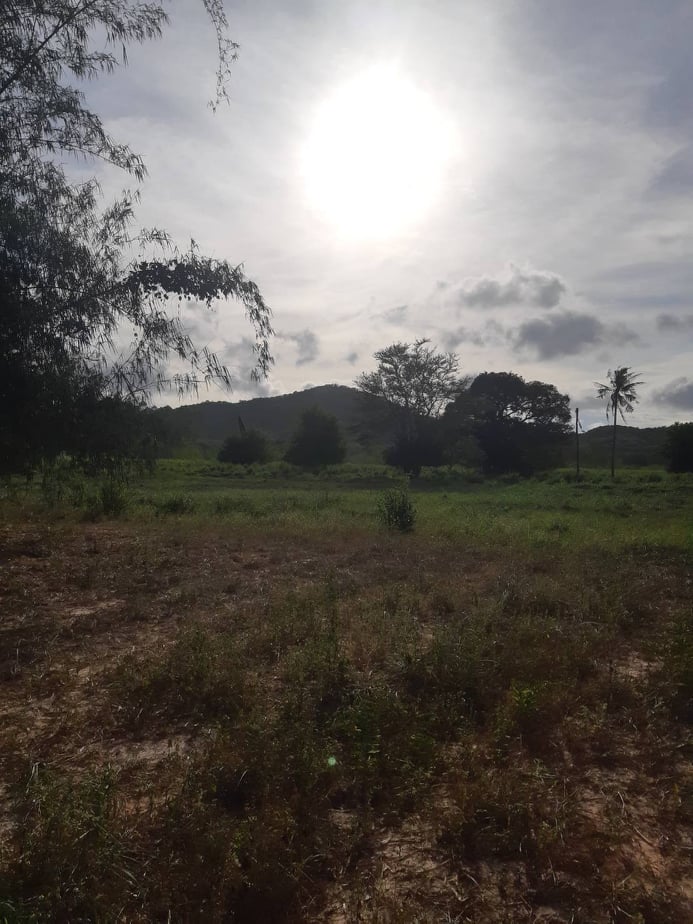 ขายที่ดินสวยราคาถูกที่สุด อ.สัตหีบ จ.ชลบุรี ใกล้สถานีตำรวจ+โรงพยาบาล+สนามบิน เหมาะแก่การทำธุรกิจบ้านจัดสรรหรืออื่นๆ