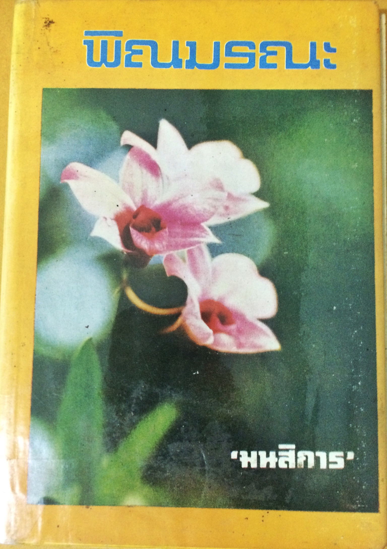 พิณมรณะ (เล่มเดียวจบ)
