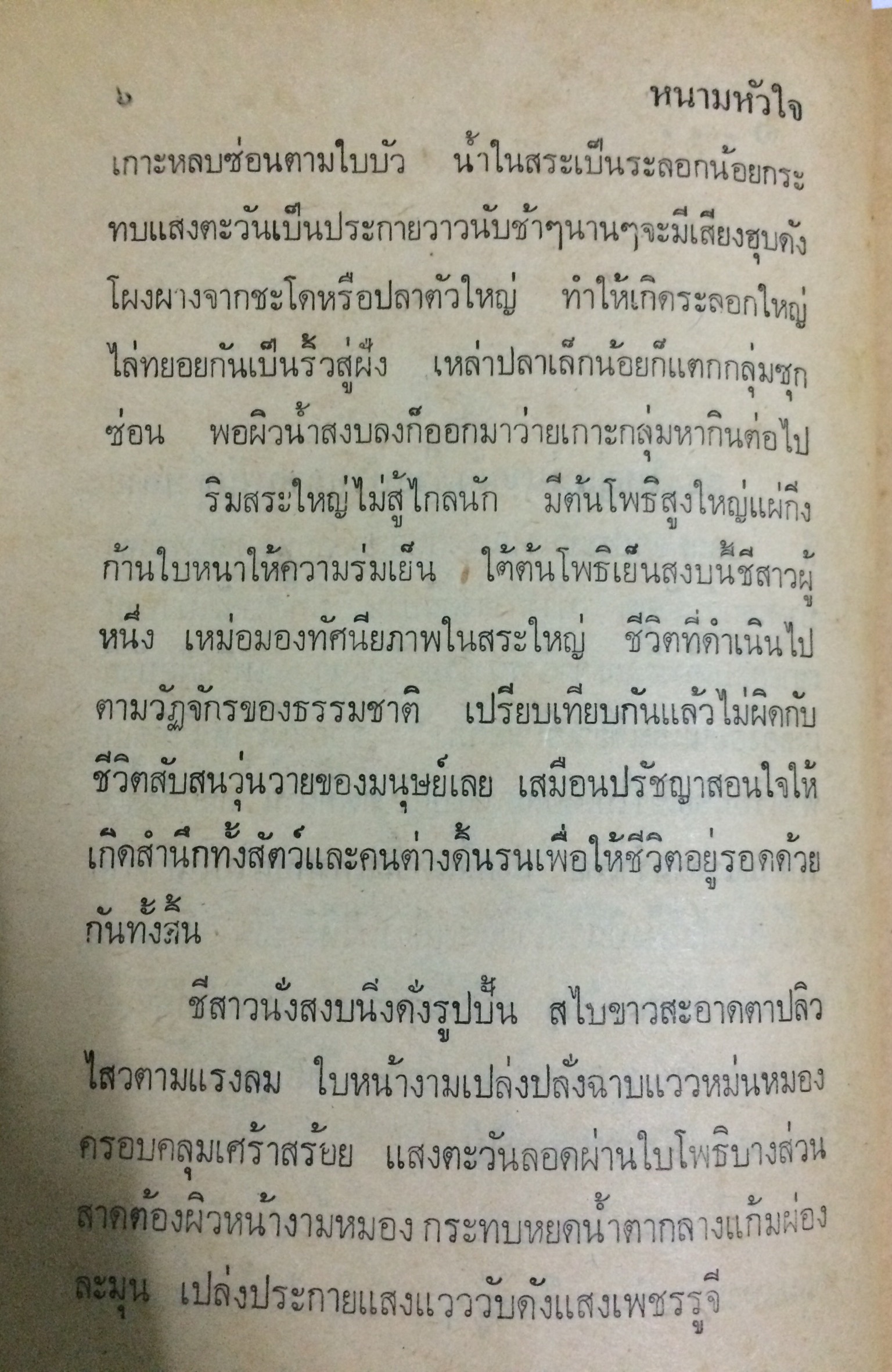 หนามหัวใจ