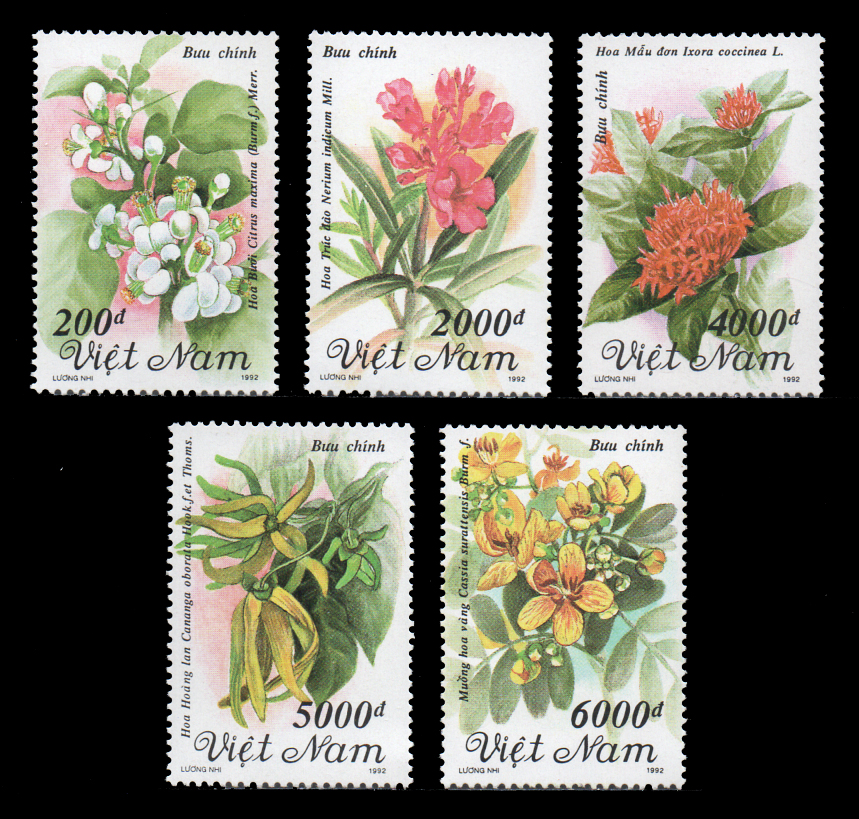 Flowers 1992