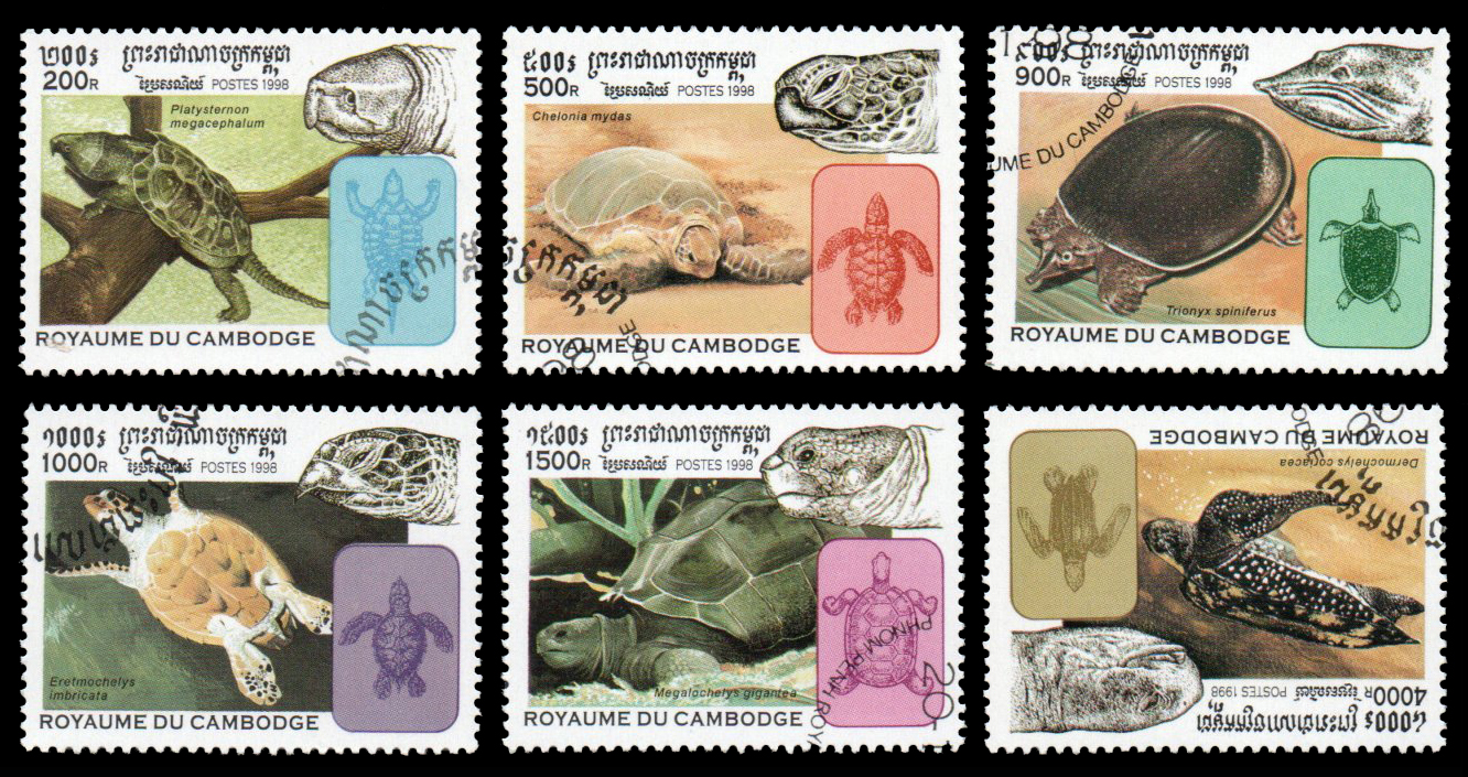 1998 Tortoise and Turtles