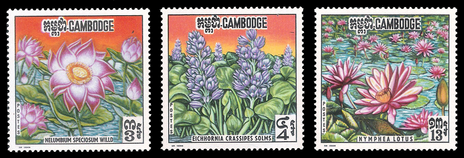 1970 Combodia Lotus