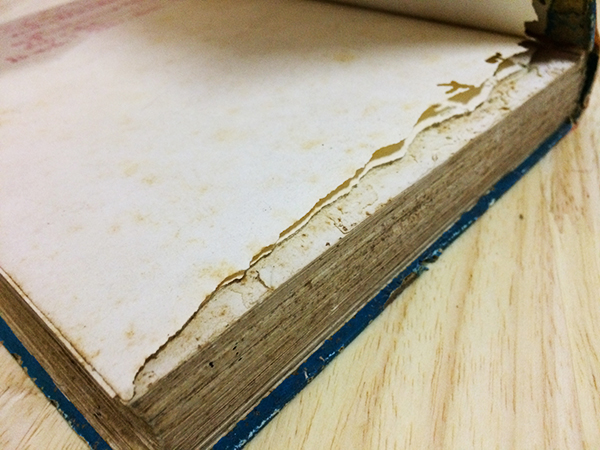 หนังสือเกี่ยวกับแมลง กายวิภาค สัณฐานแมลง