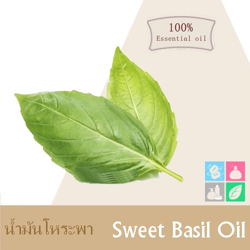 Sweet Basil Oil / น้ำมันหอมระเหยโหระพา Sweet spicy กลิ่นสดชื่นและ อบอุ่น ละลายในแอกอฮอล์และน้ำมัน -ไม่เร่งเทรซ Spec. / COA / MSDS