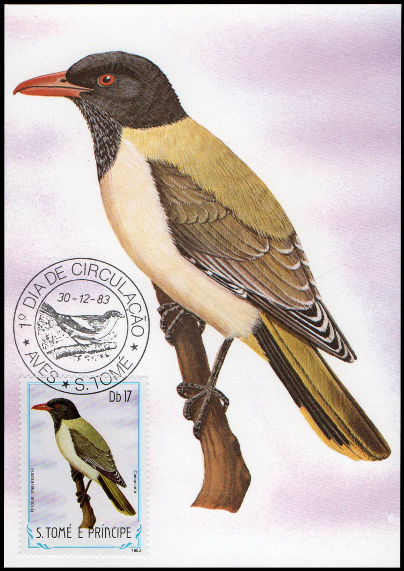Post Cards S.Tome E Principe Bird 1983