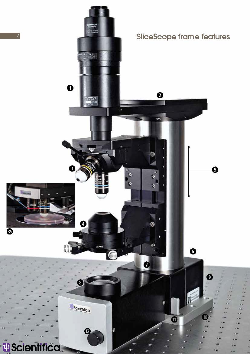 SliceScope Pro electrophysiology systems
