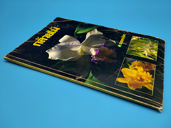 กล้วยไม้