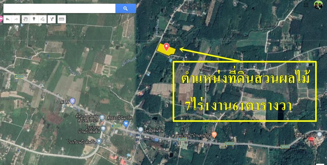 ขายที่ดินราคาถูกพร้อมสวนผลไม้สำเร็จรูป อ.บ้านค่าย จ.ระยอง7ไร่1งาน61ตรว.