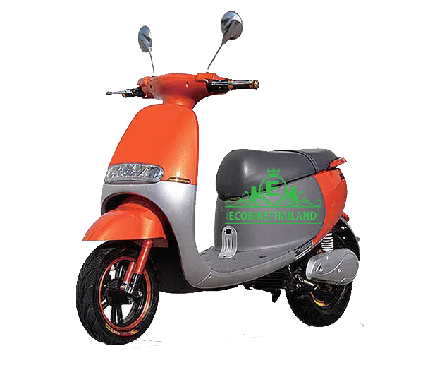 รถมอเตอร์ไซค์ 1000 วัตต์