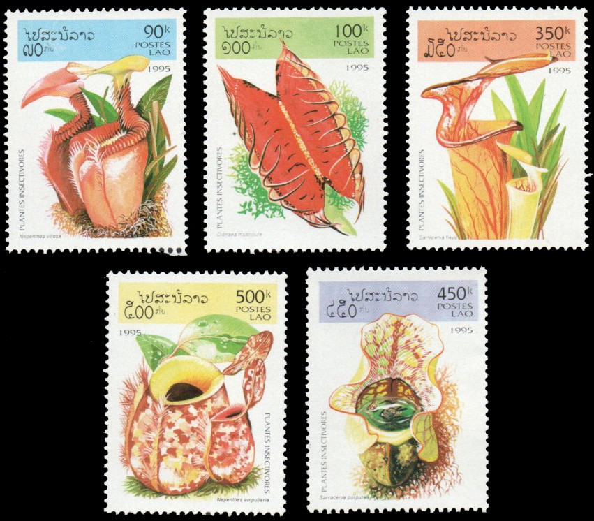 Insect-Eating Plants 1995