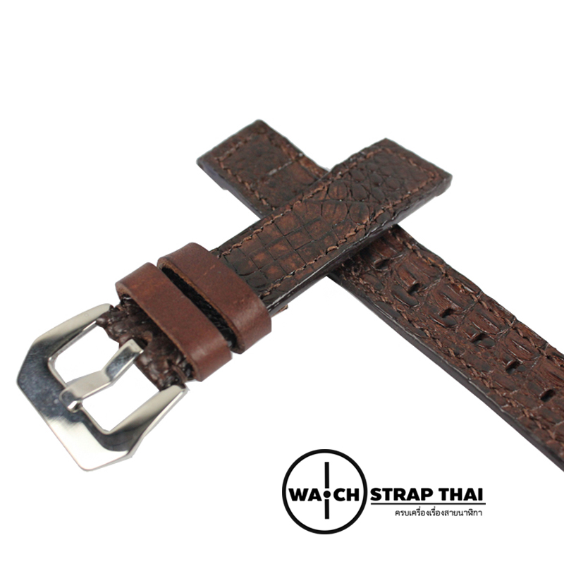 สายนาฬิกาหนังจระเข้แท้ Genuine Crocodile Leather Watch Strap Dark Brown 01 ขนาด 20 mm ,22mm,24mm