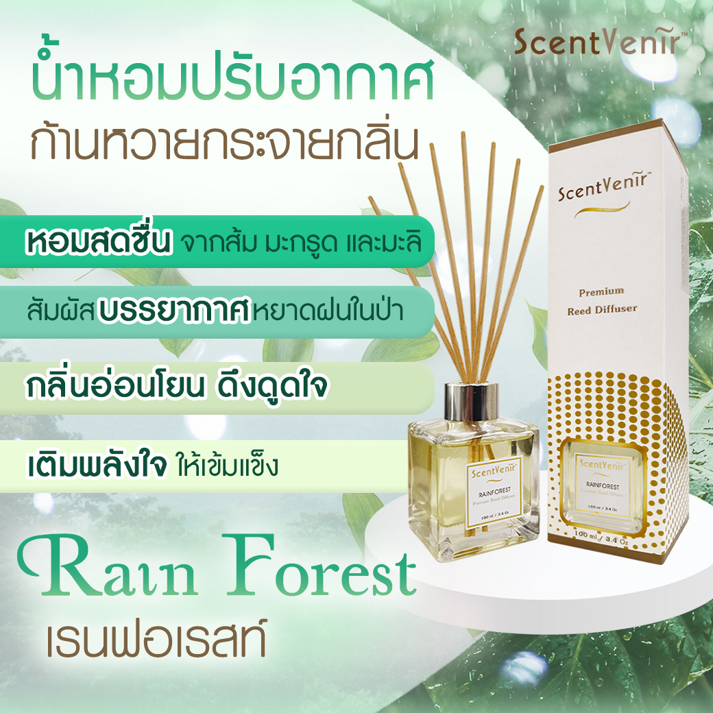 ScentVenir RAINFOREST Scent Diffuser น้ำหอมกระจายกลิ่น น้ำหอมปรับอากาศ ไม้หวาย ก้านไม้ ก้านหวาย ก้านไม้หอม กลิ่น เรนฟอเรสท์ สัมผัสกับกลิ่นของสายฝนในป่าเขียว หอมสดชื่น ชุ่มชื้น อโรม่า สูตรน้ำมันหอมระเหยแท้กับหัวน้ำหอมเกรดสูง ขนาด 100ml ใช้นาน 5 เดือน