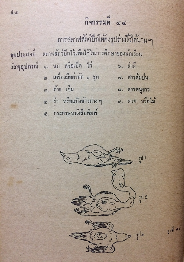 คู่มือการปฏิบัติกิจกรรมและการทดลองการสอนวิทยาศาสตร์เบื้องต้น ชั้นประถมปีที่ 5