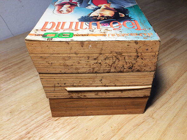 ไออิ & มาโกโต้ (Ai to Makoto)