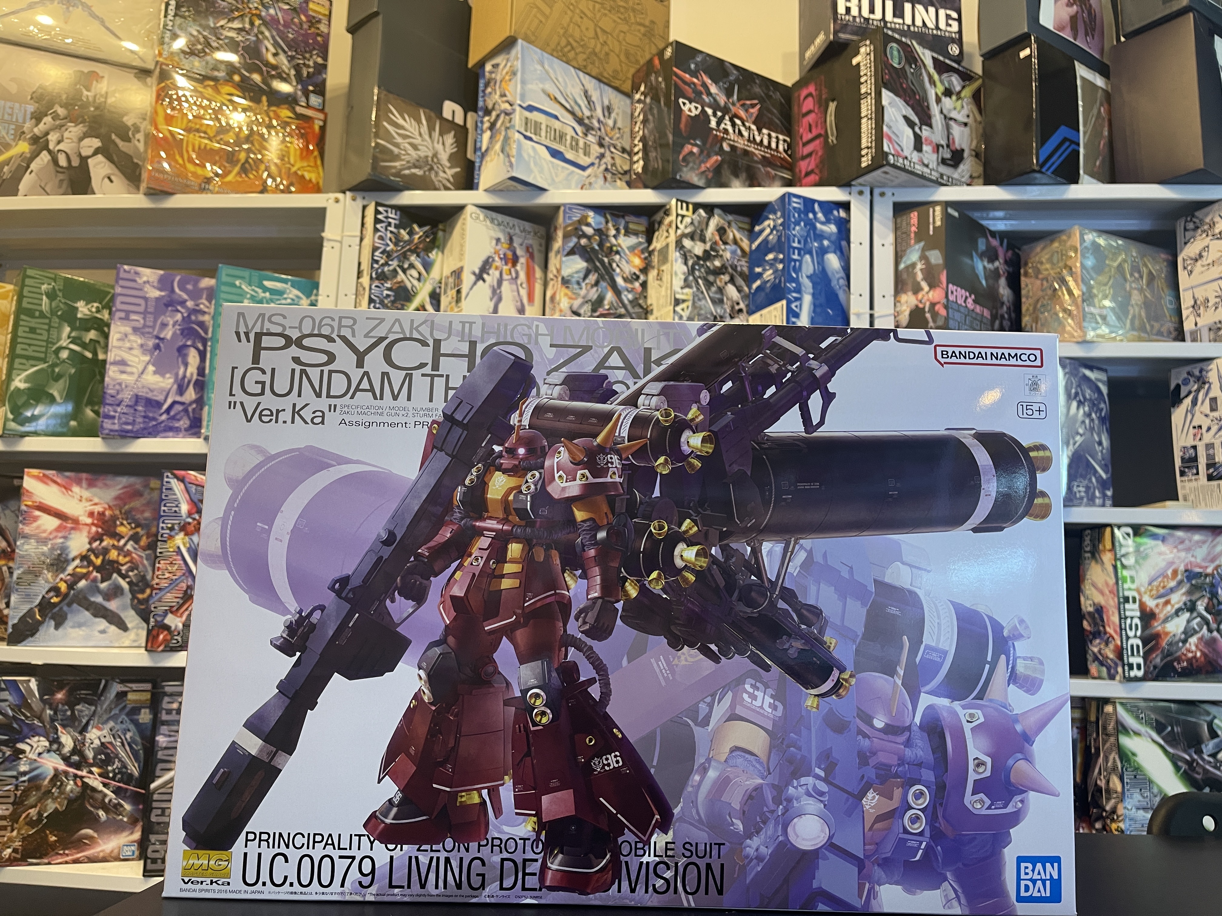 MG 1/100 ZAKU High Mobility Type Psycho ZAKU Ver.KA