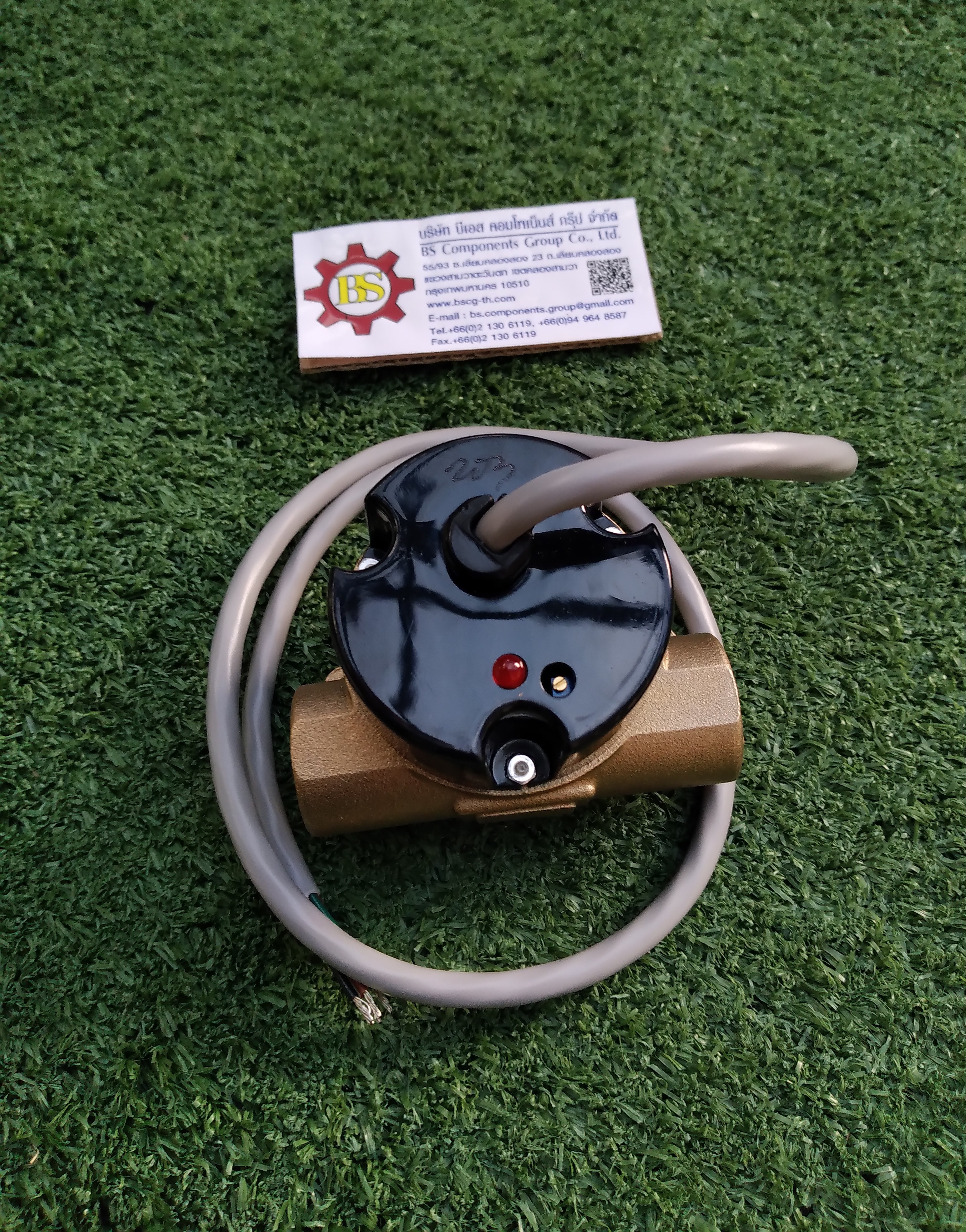 GEMS SENSORS : FLOW SENSOR– RFS Types No. 156268 Brass FLOW SENSOR, 1.5-20GPM, 13.8BAR, 12.7MM, 24VDC