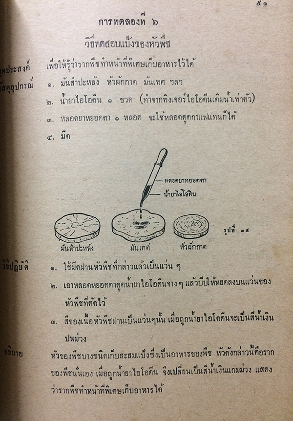 คู่มือการปฏิบัติกิจกรรมและการทดลองการสอนวิทยาศาสตร์เบื้องต้น ชั้นประถมปีที่ 5