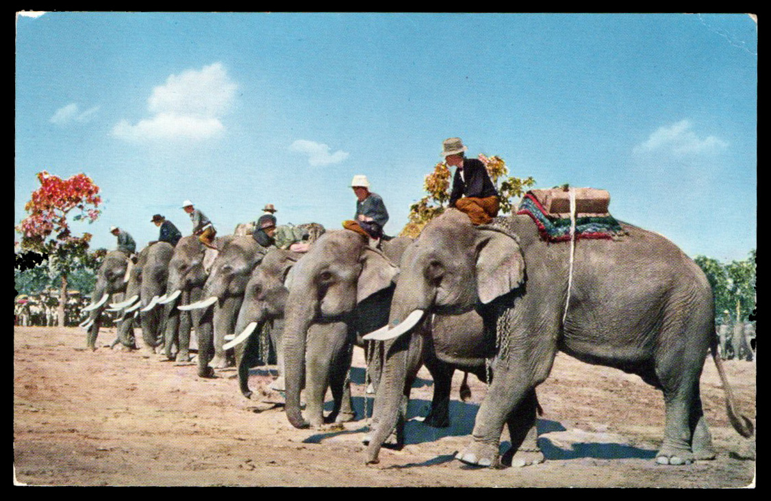 Post Card ส่งจริง