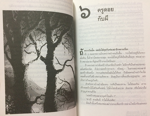 เรื่องเล่าจากดงลึก