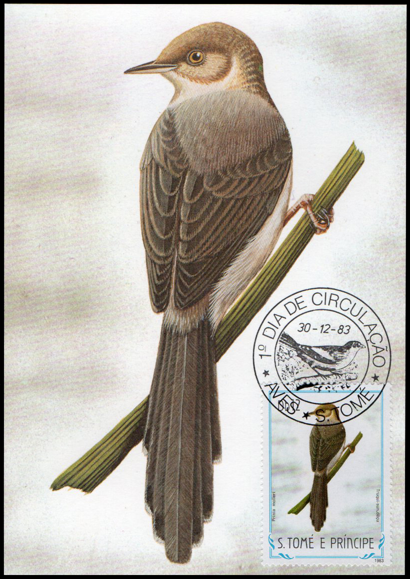 Post Cards S.Tome E Principe Bird 1983
