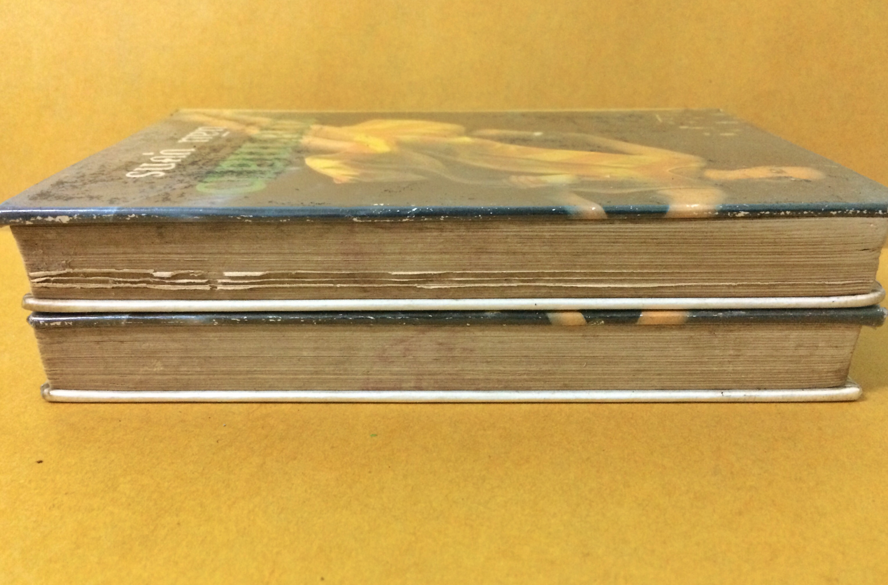 ทายาทสาว (1-2เล่มจบ)