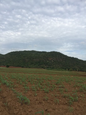 ขายที่ดินสวยราคาถูกที่สุด ห่างจากทุ่งดินดำรีสอร์ท 1.78กม.บรรยากาศดีทิวเขาสวยเหมาะทำการเกษตรอยู่อาศัยอ.อู่ทองจ.สุพรรณบุรี