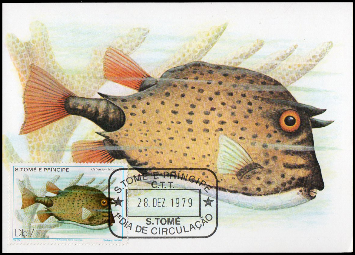Post Card S.Tome E Principe Fish 1979