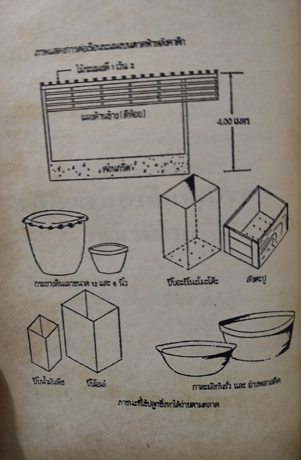 สวนหลังบ้าน เล่ม 1-2